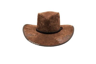 Ostrich Patched Hat